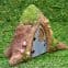 Vivid Arts Miniature World - Opening Fairy Garden Tree Trunk Fairy Door - 23cm.